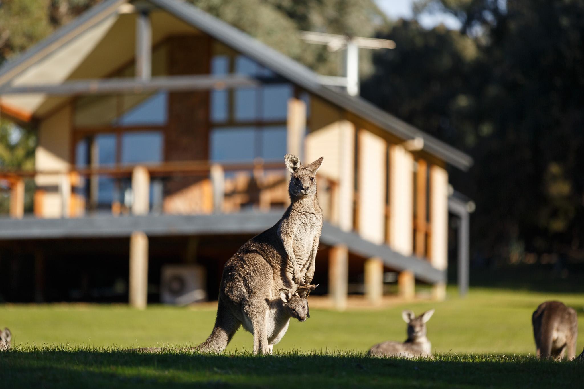 Yering Gorge Cottages エクステリア 写真